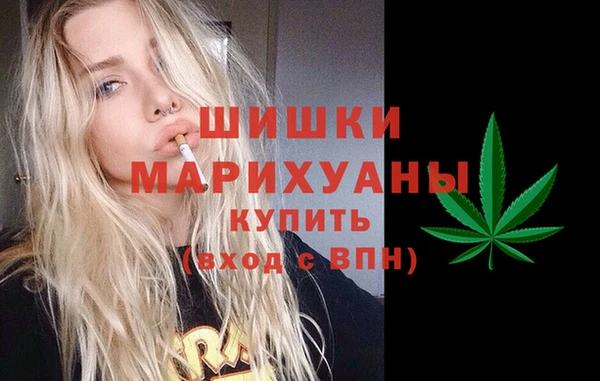 сатива Алзамай